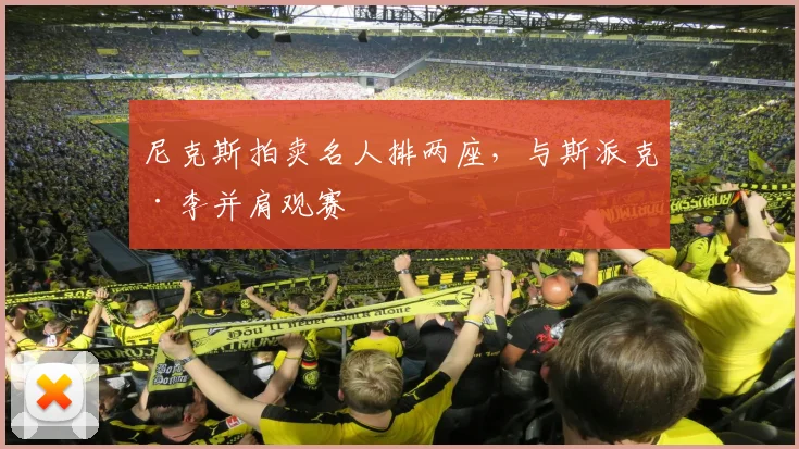 尼克斯拍卖名人排两座,与斯派克·李并肩观赛